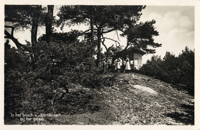 9053 Gezicht in het bos van het vakantiehuis Zonneheuvel aan de Biltseweg bij Den Dolder.